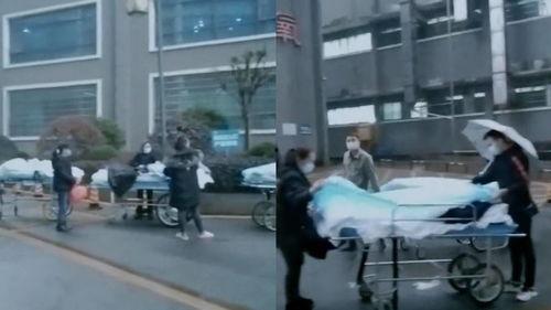 湘西医院爆料视频最新版,揭露惊人真相，真相大白！